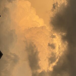 Meet your Posher, Katrina